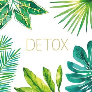 Middagsservietter Detox Fra Ppd