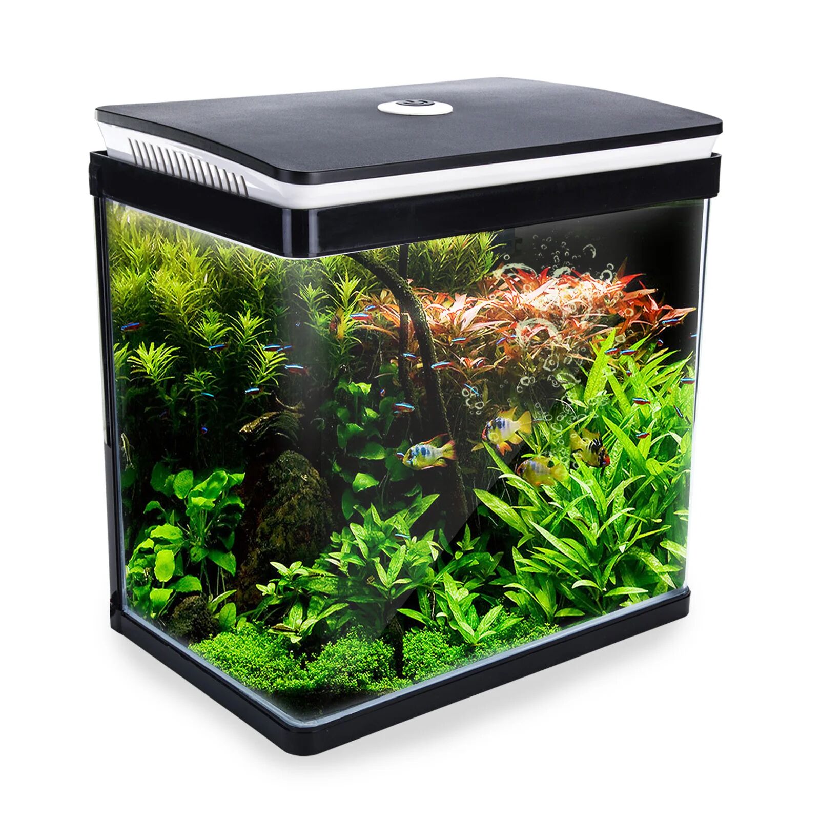 Unbranded Aquarium Curved Glass RGB LED Fish Tank 30L