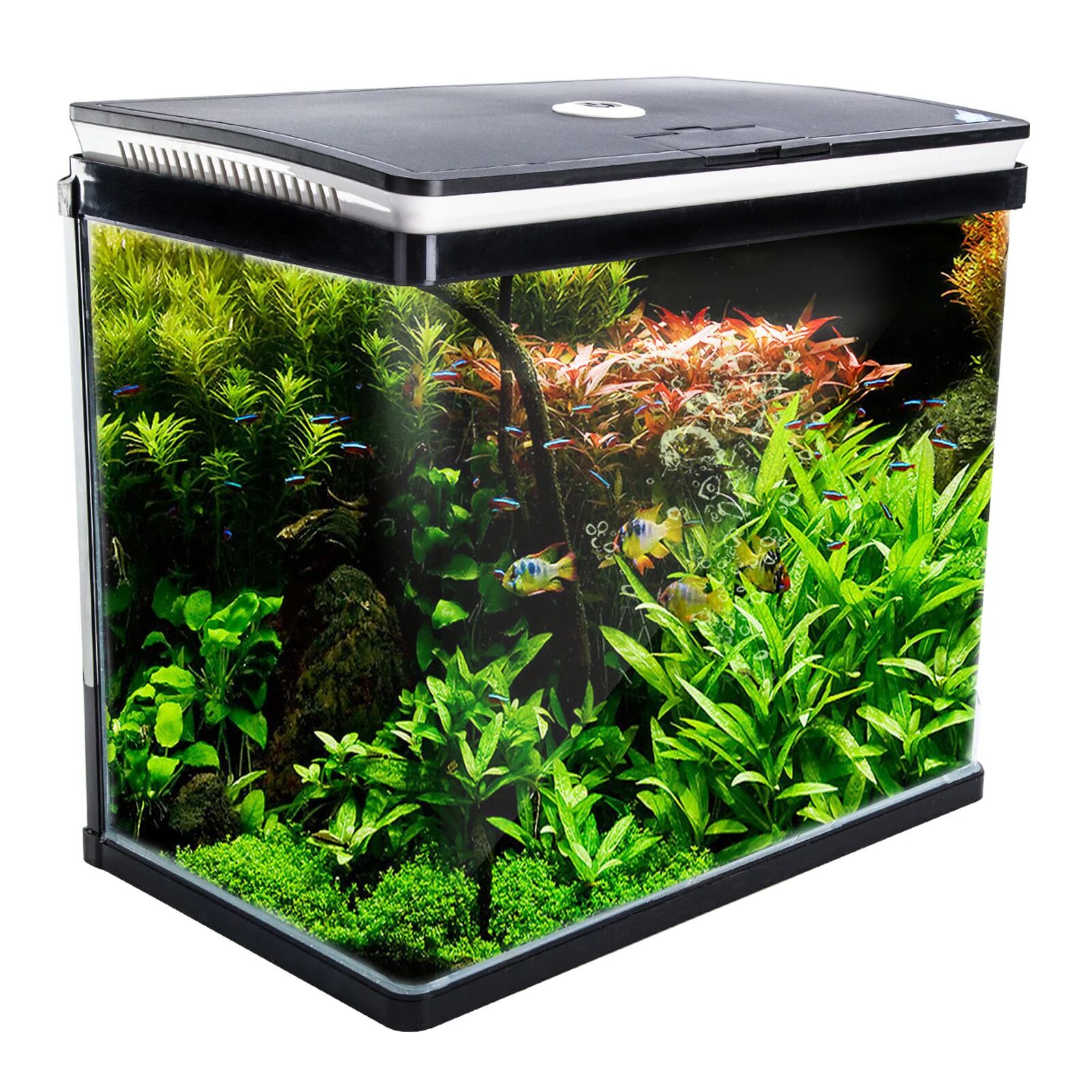 Unbranded Aquarium Curved Glass RGB LED Fish Tank 52L