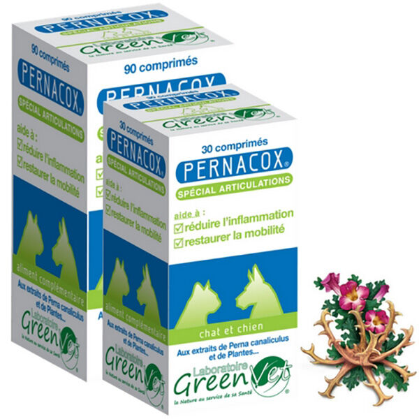 Greenvet Pernacox 30 comprimés