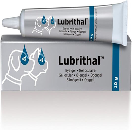 Dechra Lubrithal Gel Oculaire 10g