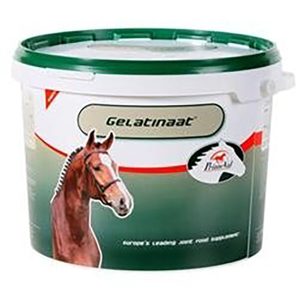 Top Equine Gelatinaat Primeval Supplément Nutritionnel des Articulations Cheval poudre orale 2kg