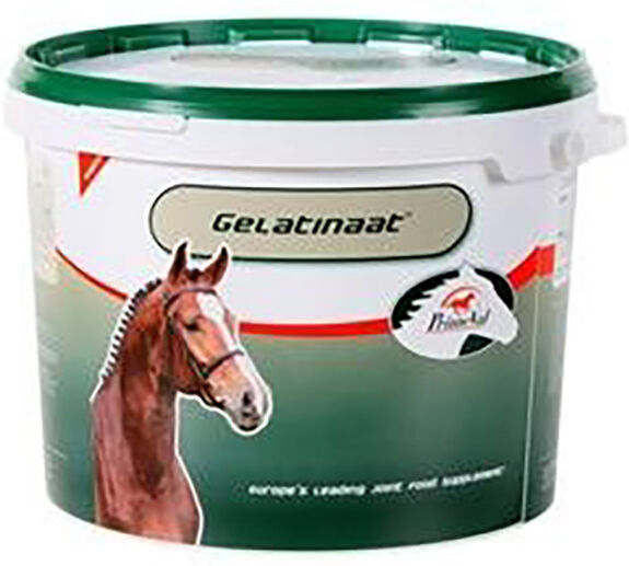 Top Equine Gelatinaat Primeval Supplément Nutritionnel des Articulations Cheval poudre orale 2kg