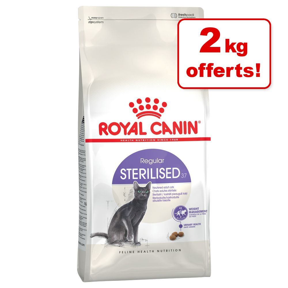 Royal Canin Breed Croquettes Royal Canin pour chat 10 kg + 2 kg offerts ! - Maine Coon