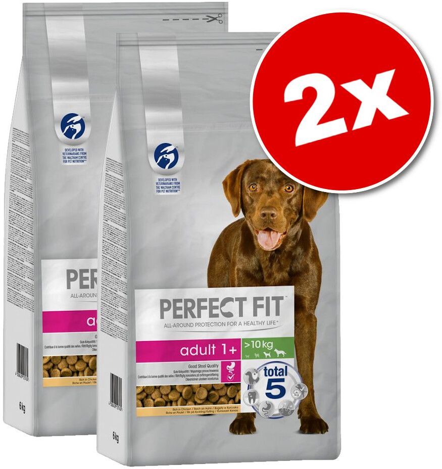 Perfect Fit Lot PERFECT FIT pour chien - Adult > 10 kg (2 x 6 kg)