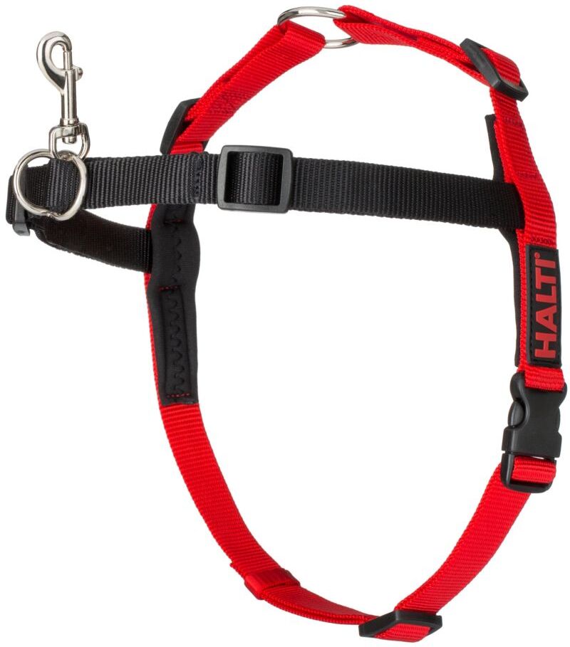 Halti Harnais anti-traction Halti Front Control pour chien - taille M :...