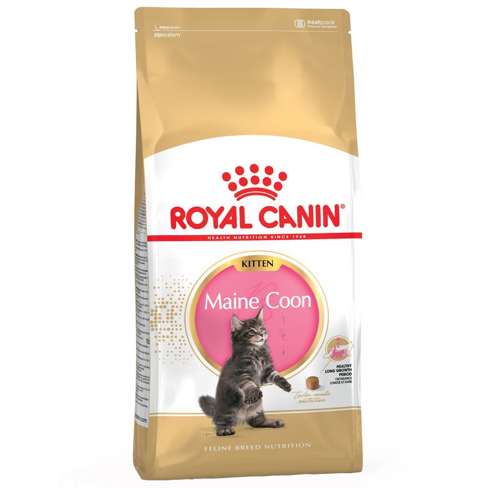 Royal Canin Breed 2x10kg Royal Canin Kitten Maine Coon - Croquettes pour Chaton Maine Coon