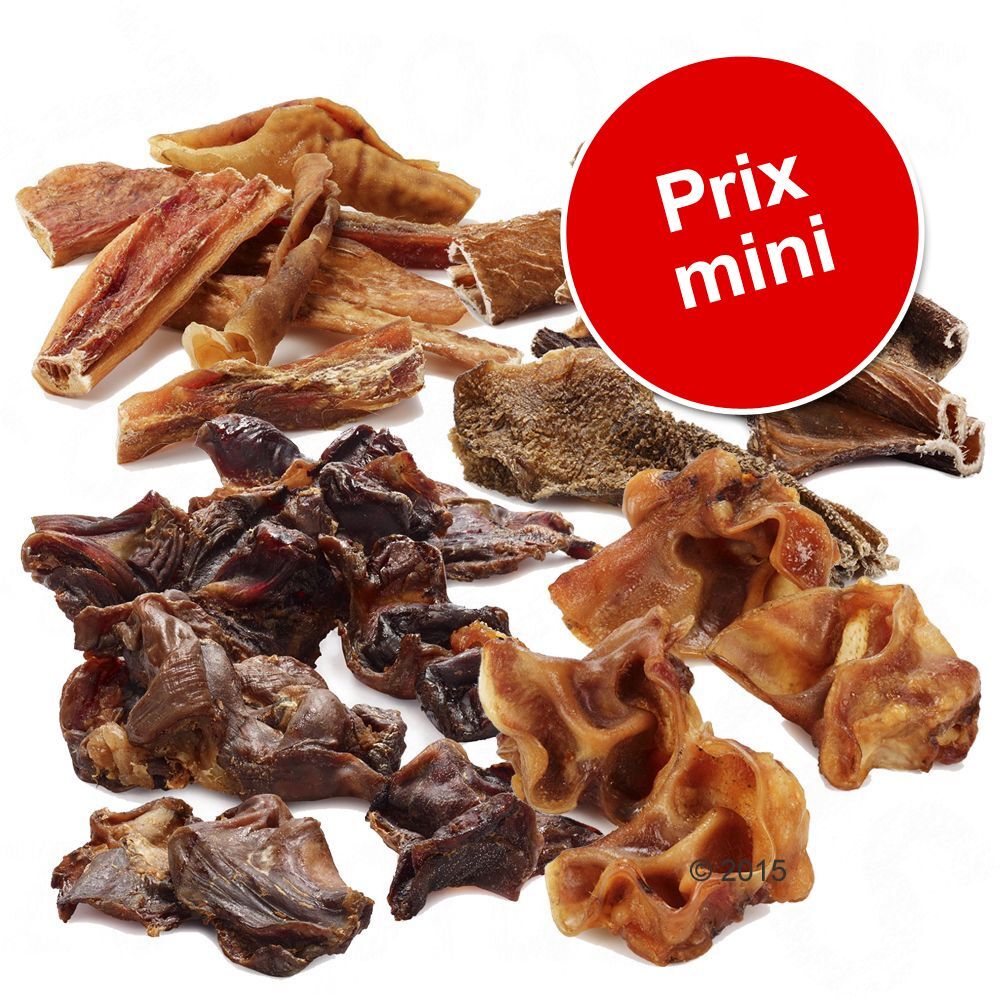 Dog Snagger Lot mixte de friandises à mâcher pour chien - 4 variétés