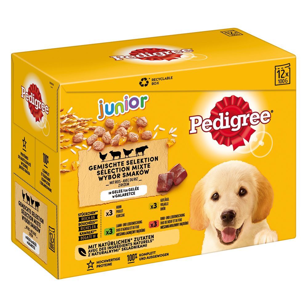 Pedigree Multipack Pedigree Junior pour chiot - 12 x 100 g