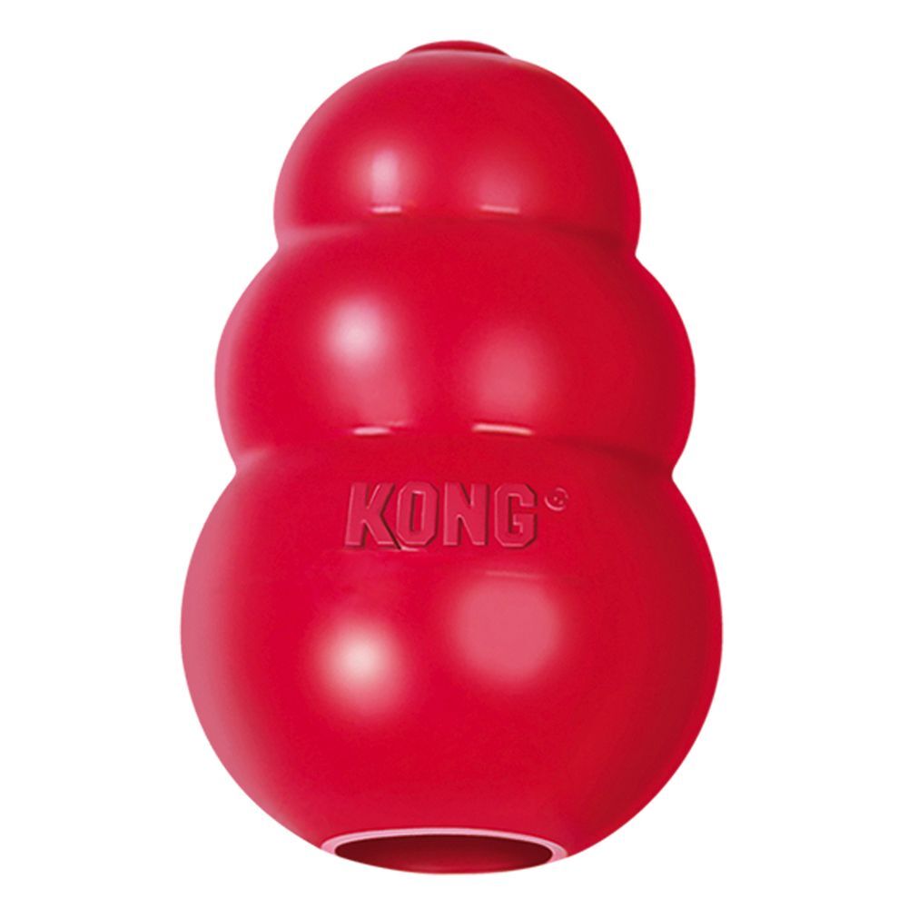 Kong Jouet KONG Classic pour chien - taille XXL (15,24 cm)