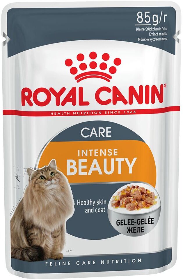 Royal Canin Intense Beauty en gelée - 12 x 85 g