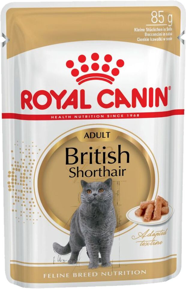 Royal Canin Breed 24x85g British Shorthair Royal Canin Breed - Pâtées pour Chat