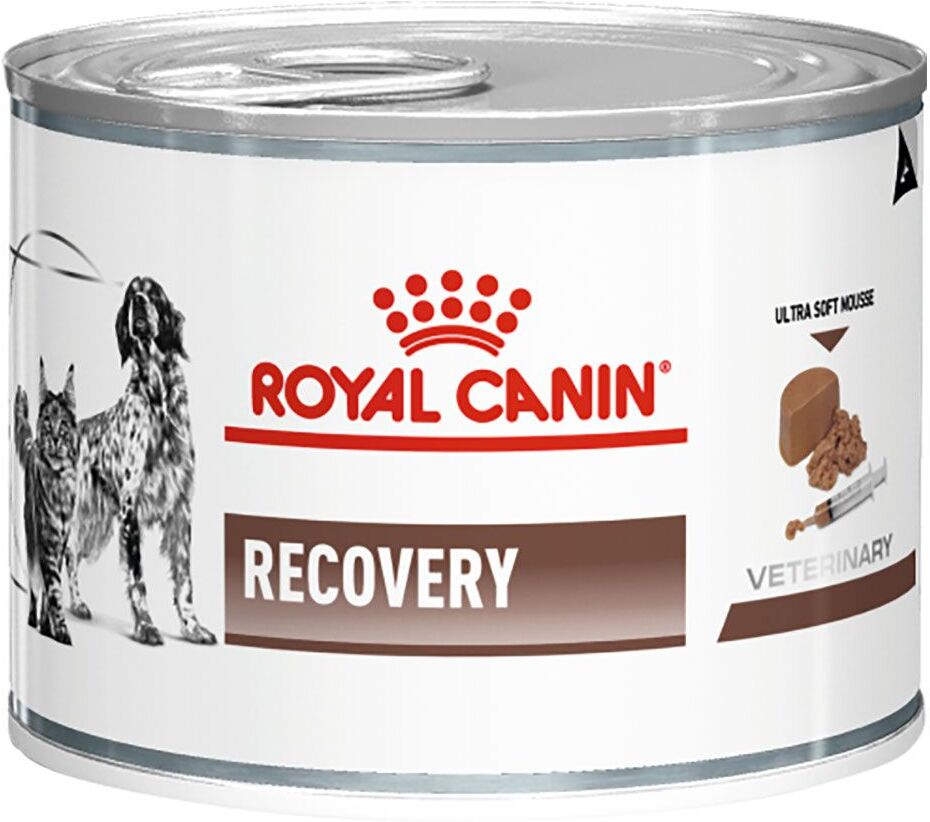 Royal Canin Veterinary Diet 24x195g Canine / Feline Recovery Royal Canin Veterinary Diet - Pâtée...