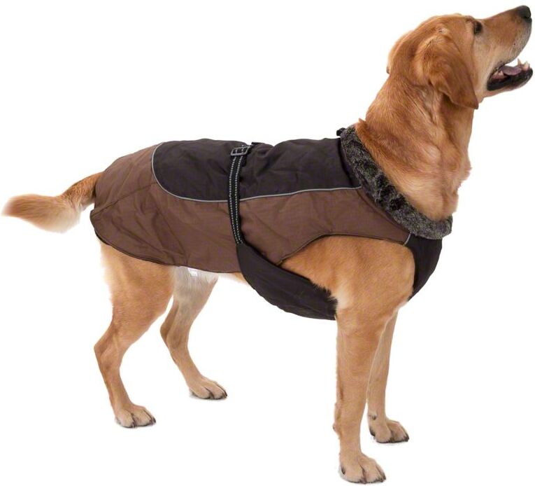 zooplus Exclusive Manteau pour chien Grizzly II - taille 50 : longueur du dos 46 cm