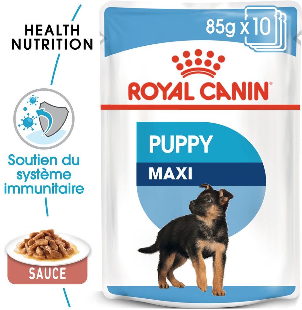 Royal Canin Size Royal Canin Maxi Puppy pour chiot - 40 x 140 g