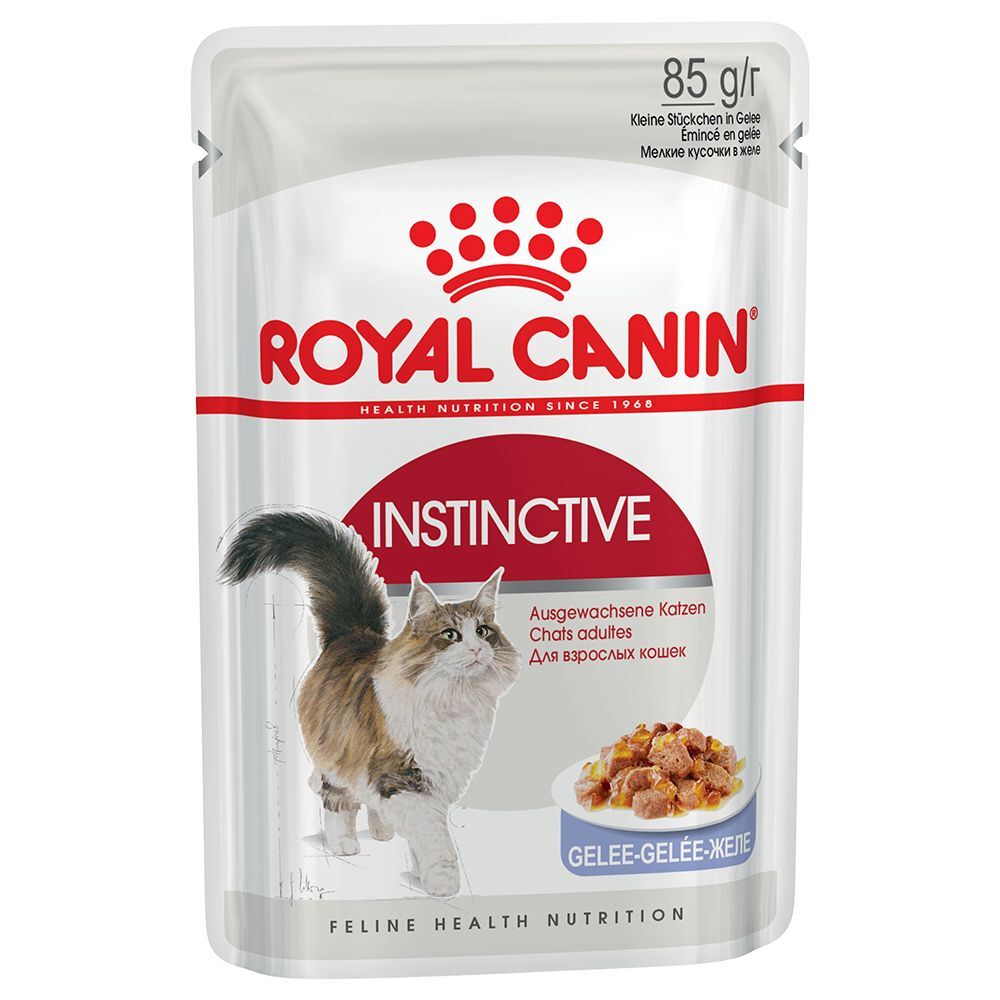 Royal Canin Instinctive en gelée - maxi lot % : 96 x 85 g