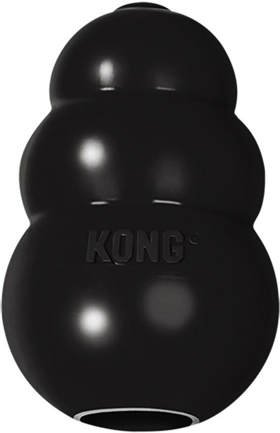 KONG Extreme Jouet pour chien - noir - M : H 8,5 x l 5 x P 5 cm