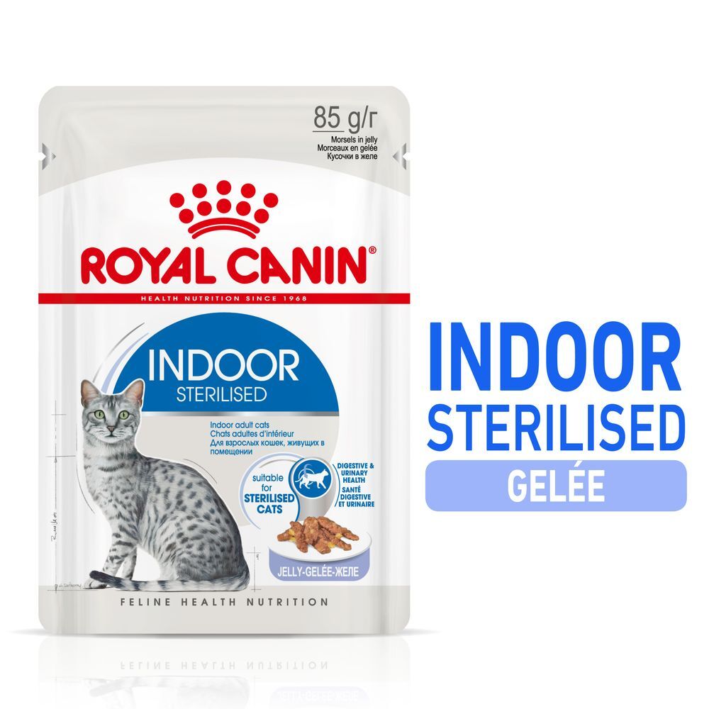 Royal Canin Indoor Sterilised en gelée pour chat - 24 x 85 g