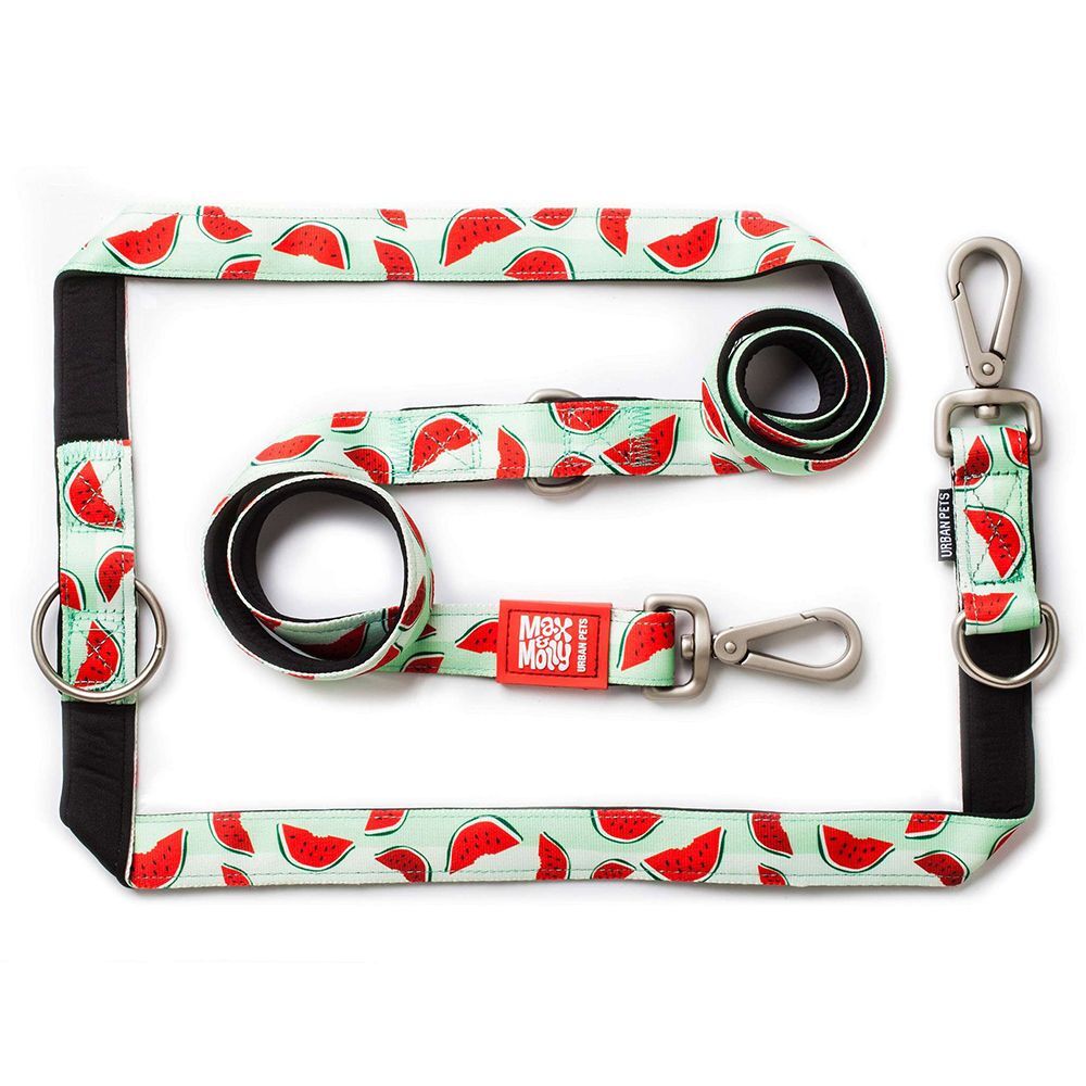 Max & Molly Laisse multifonctions Max & Molly Watermelon pour chien - taille M :...