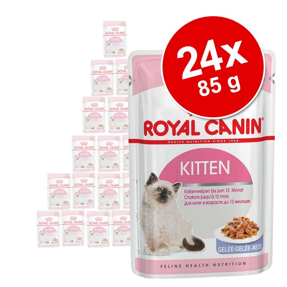 Royal Canin Lot mixte 24 x 85 g Royal Canin en gelée et en sauce - Kitten en...