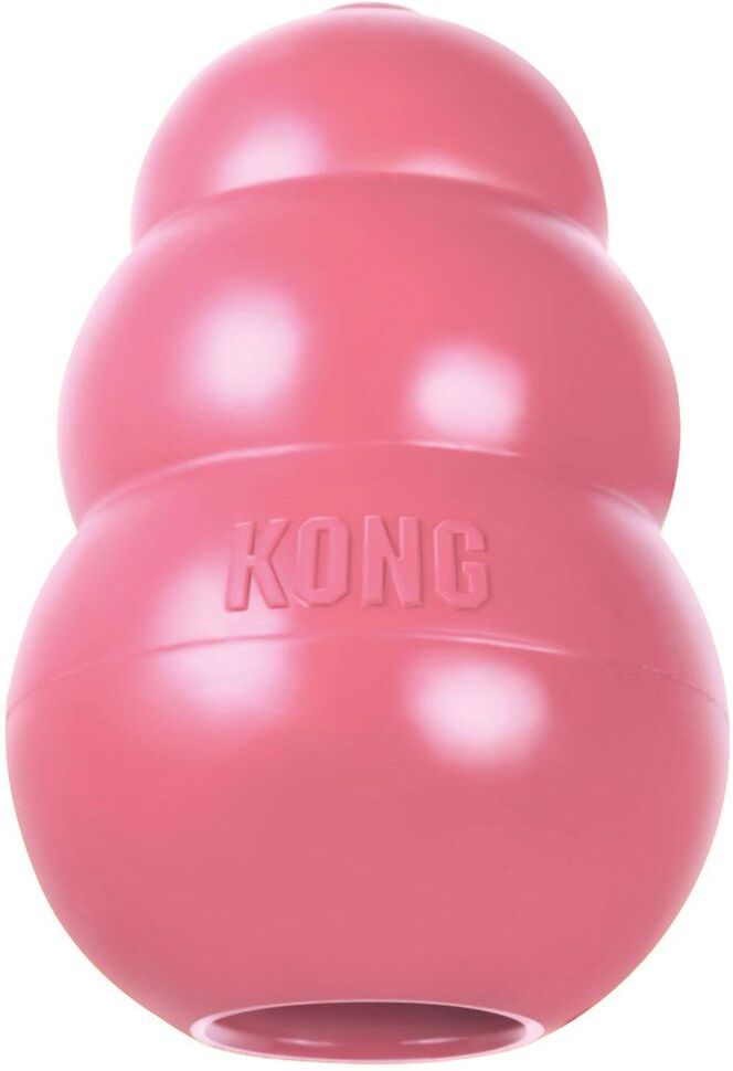 Kong Jouet KONG Puppy - taille S : bleu