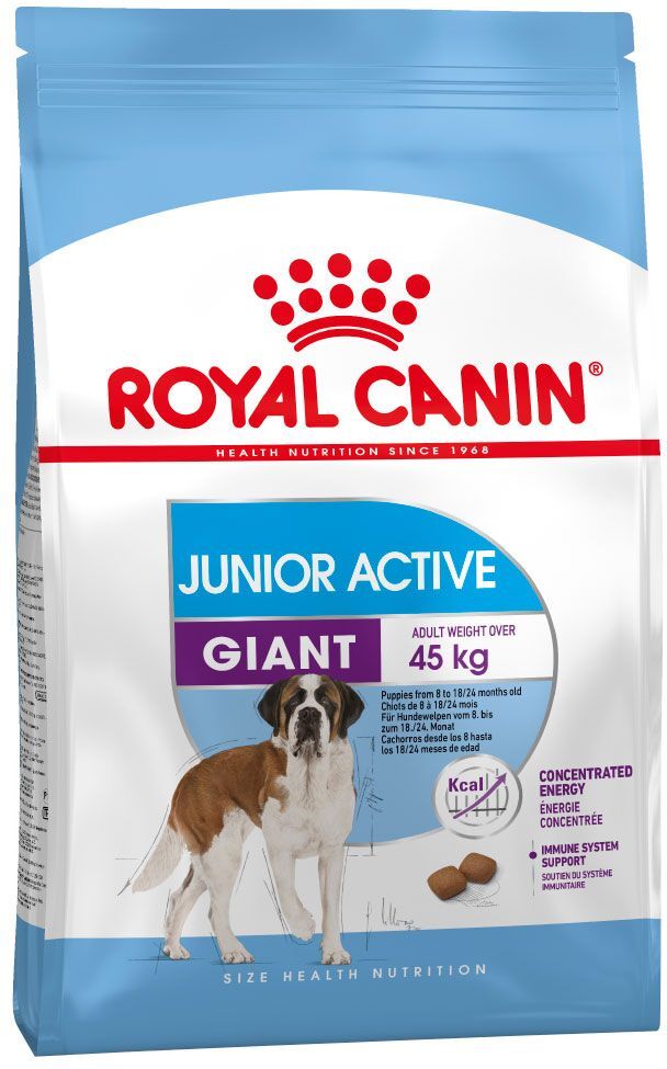 Royal Canin Size 15kg Giant Junior Active Royal Canin - Croquettes pour Chien