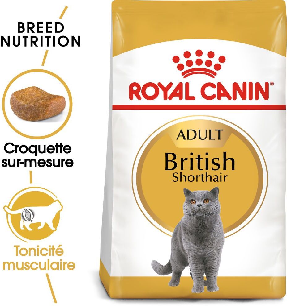 Royal Canin Breed Royal Canin British Shorthair Adult pour chat - 2 kg