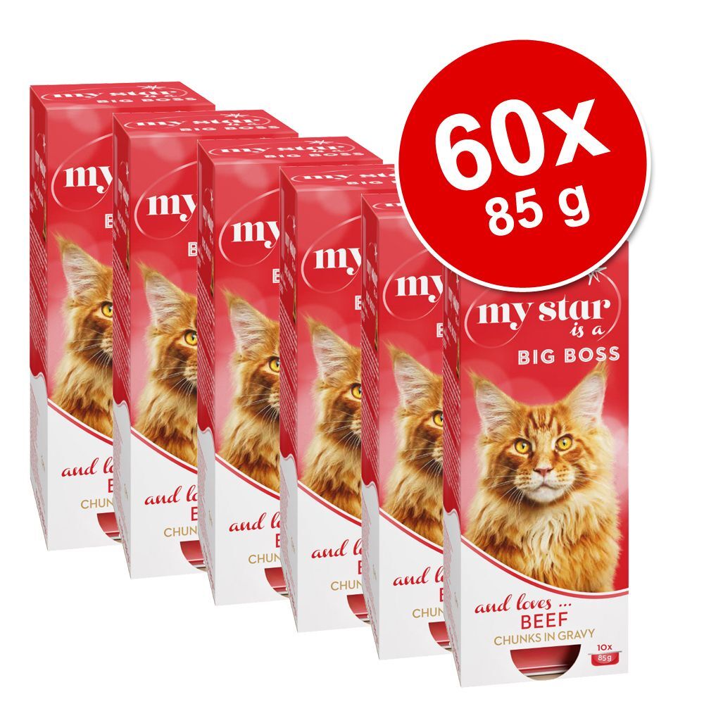 My Star Lot My Star Bouchées en sauce 60 x 85 g pour chat - Dreamer saumon de...