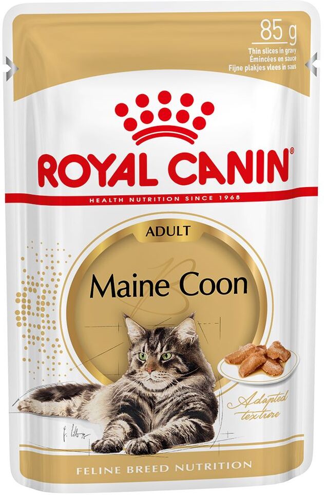 Royal Canin Breed 12x85g Royal Canin Breed Maine Coon Adult, en sauce - Pâtée pour Chat