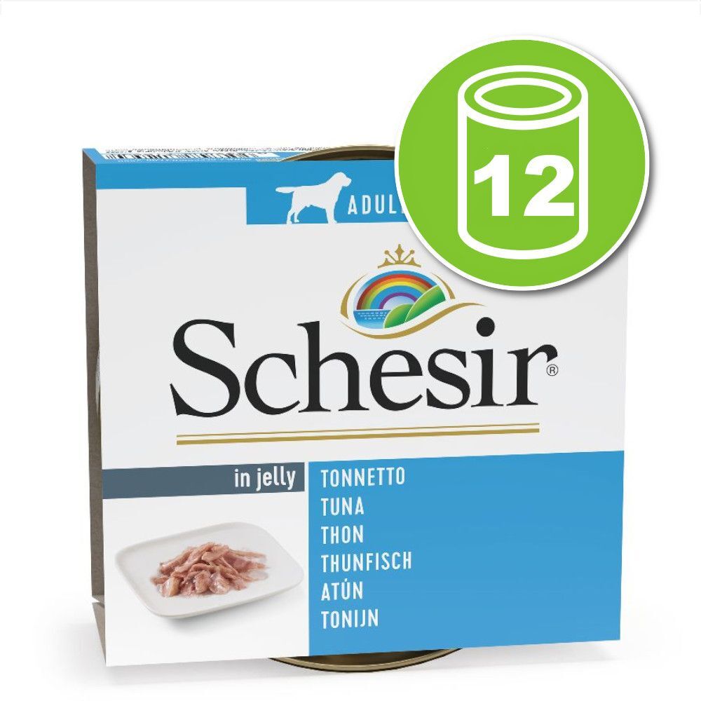 Schesir Lot de boîtes Schesir 12 x 150 g pour chien - poulet, pomme