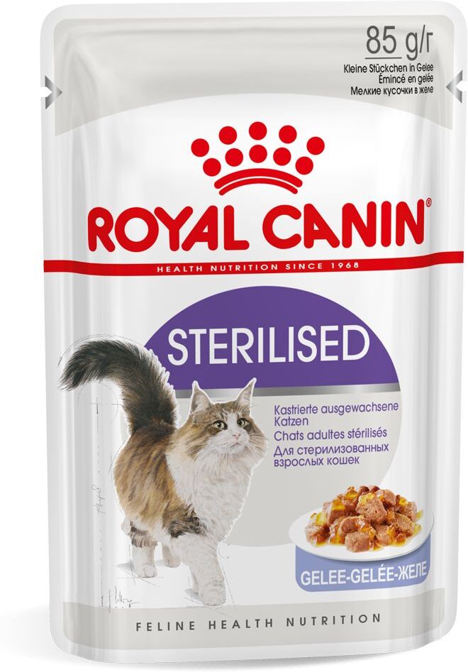 Royal Canin Breed 96x85g Maine Coon Adult en sauce Royal Canin - Pâtée pour Chat