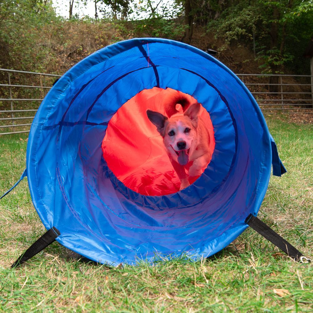 bitiba Agility Fun & Sport Sac tunnel pour chien - longueur totale 5 m