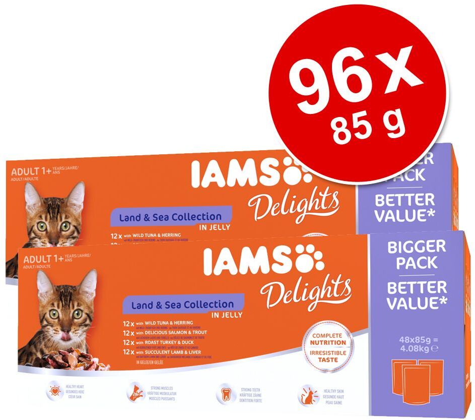 IAMS Lot économique IAMS Delights 96 x 85 g - en gelée