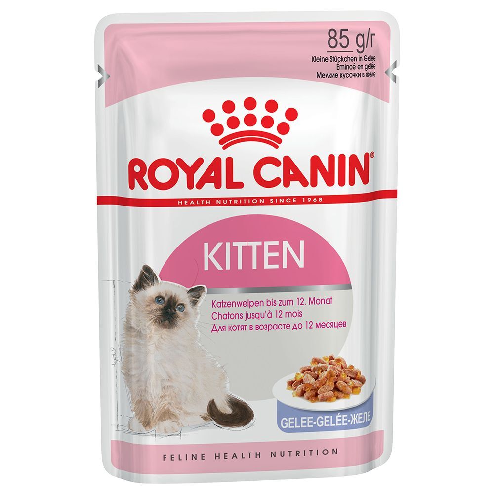 Royal Canin Kitten en gelée pour chaton - 24 x 85 g