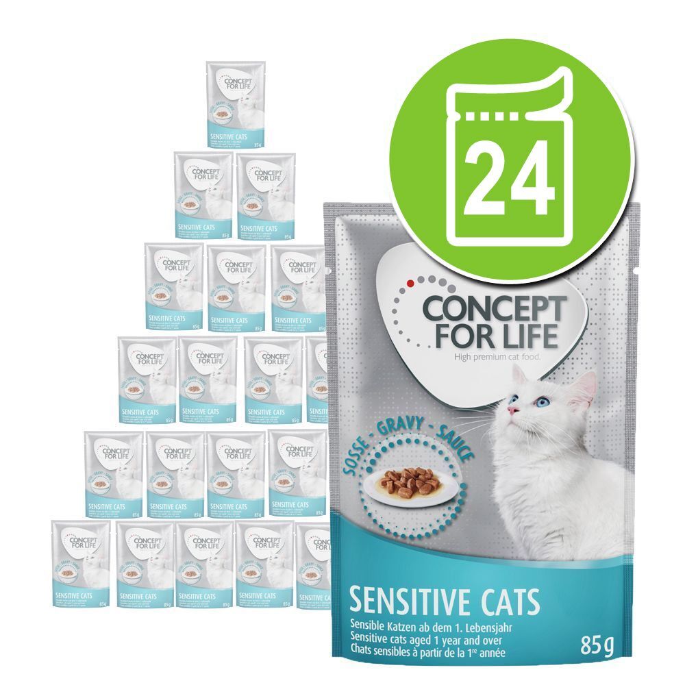 Concept for Life Lot Concept for Life 24 x 85 g pour chat - Kitten en sauce