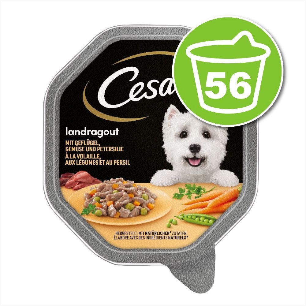 Cesar Lot de barquettes Cesar 56 x 150 g - Les recettes de Campagne...