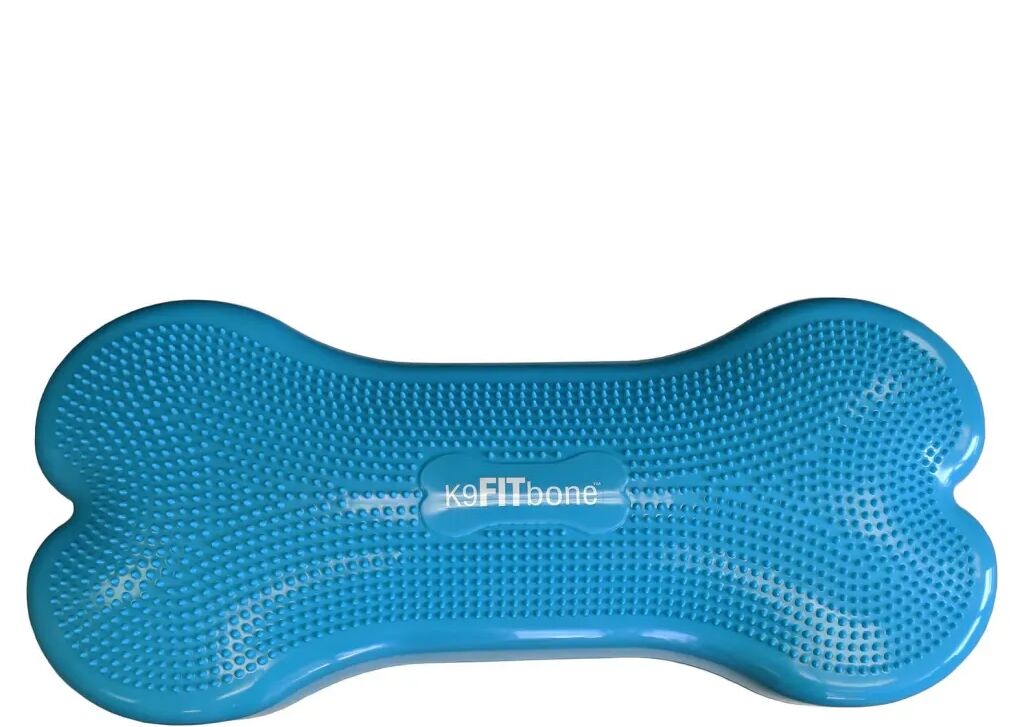 FitPAWS Plate-forme d'équilibre d'animaux Giant K9FITbone PVC Aqua