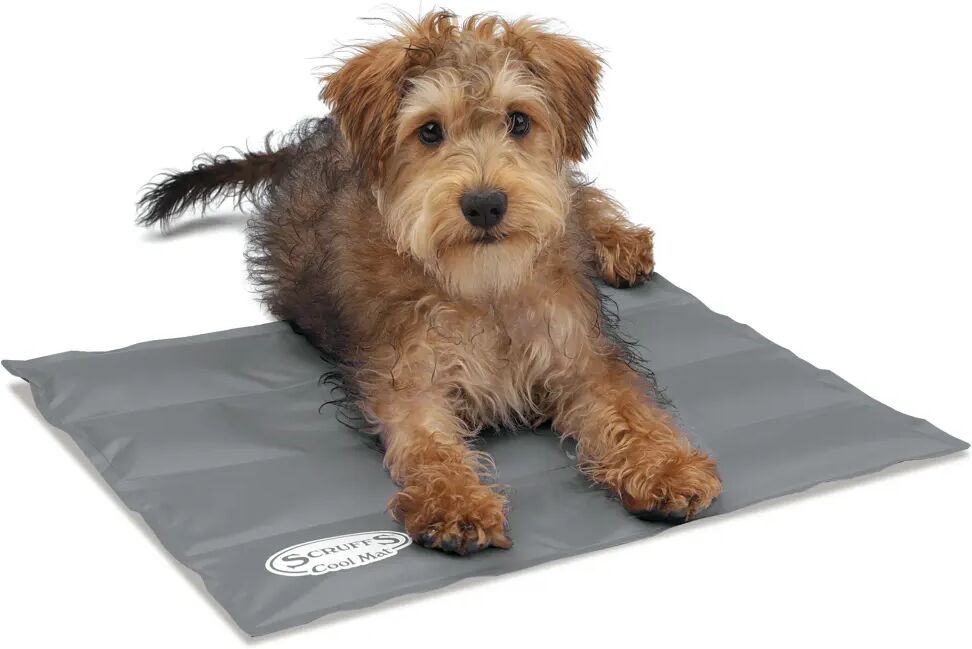 Scruffs & Tramps Tapis refroidissant pour chiens Gris Taille S 2716