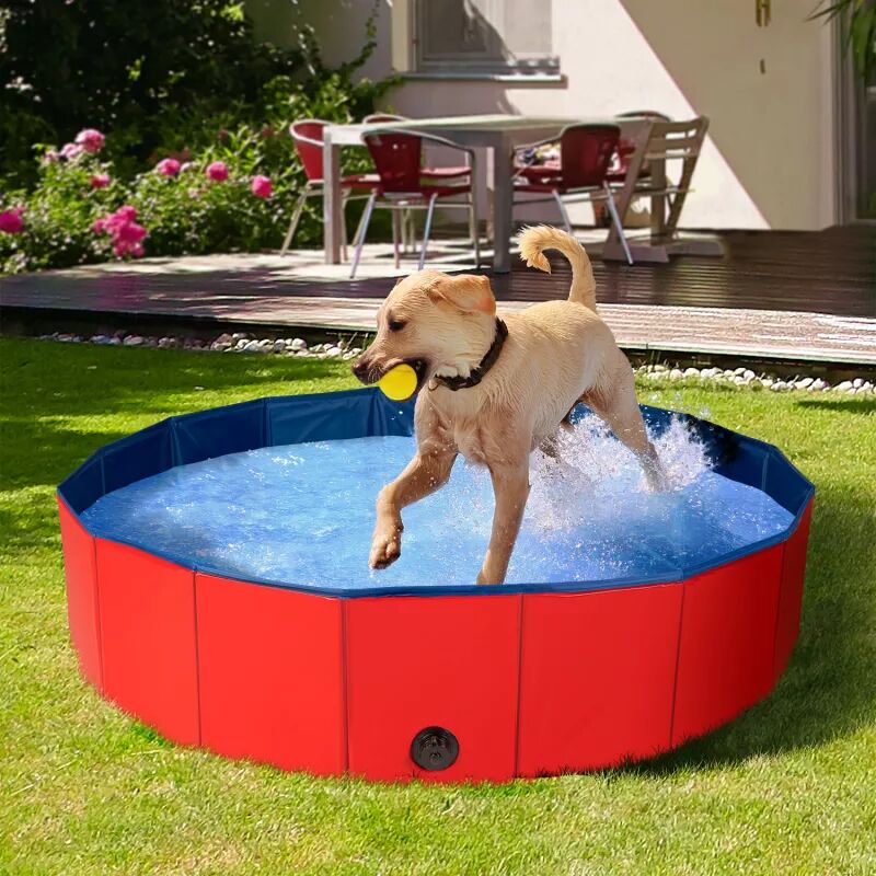 IDMarket Piscine pliable pour chien