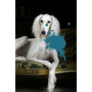 queence Acrylglasbild »Hund« blau Größe