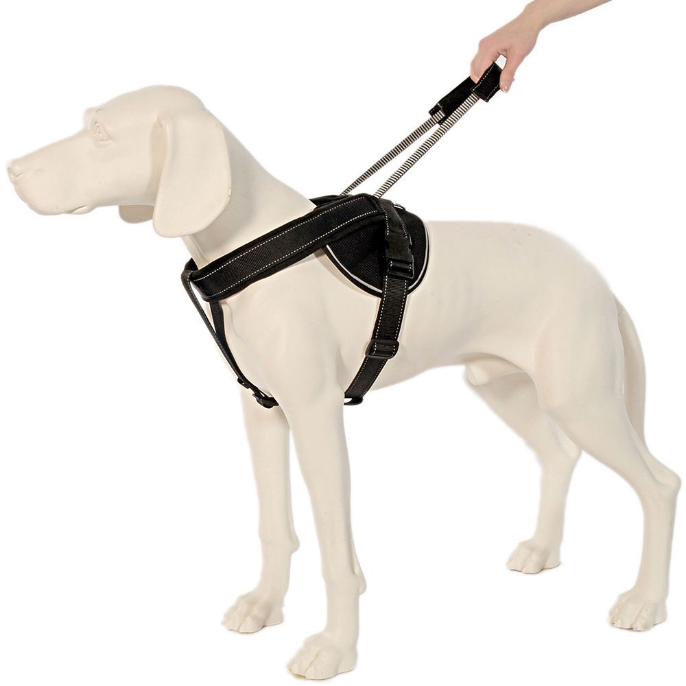 Patentopet Dog Control Geschirr schwarz Gr. XXL : Brustumfang 82-118cm für Hunde