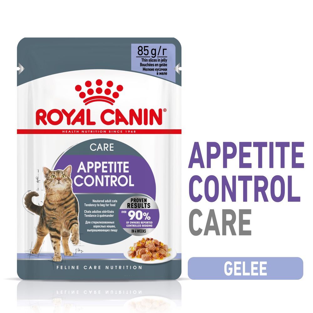 Royal Canin Care Nutrition 48x 85g Appetite Control Care in Gelee Royal Canin Nassfutter für Katzen