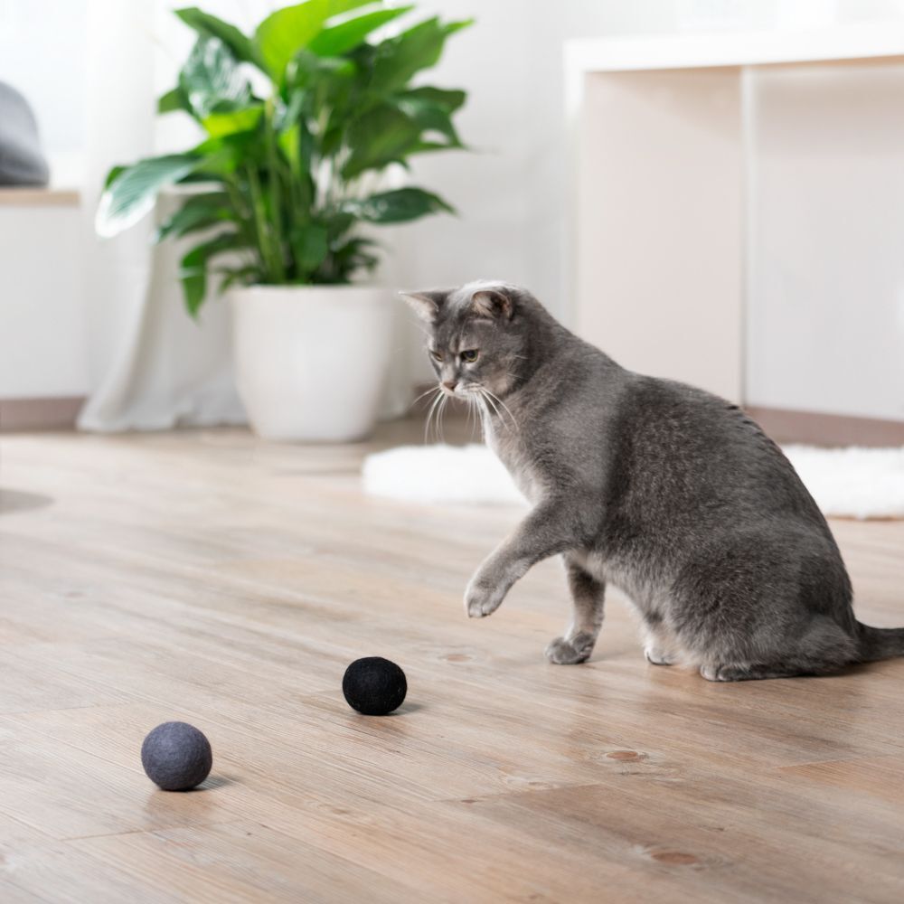 Cosma 2 Stück Cosma Wollbälle zum Spielen Katzen