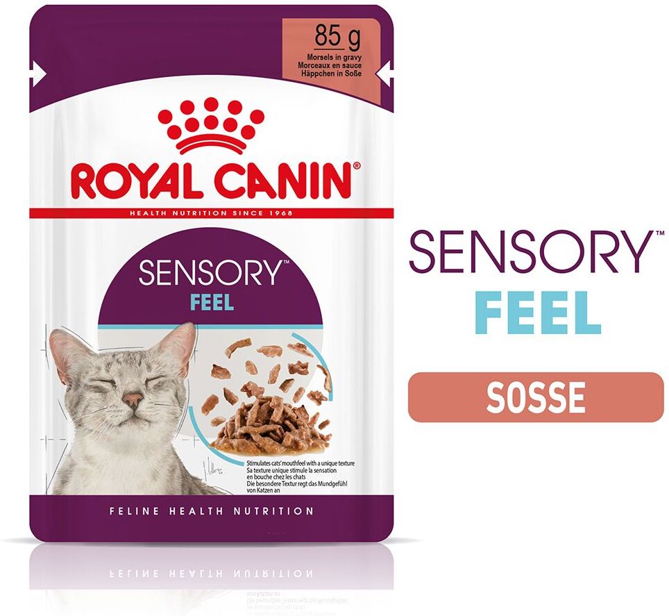 Royal Canin 24x 85g Royal Canin Sensory Feel in Sosse Katzenfutter nass