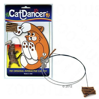 Cat Dancer Katzenangel