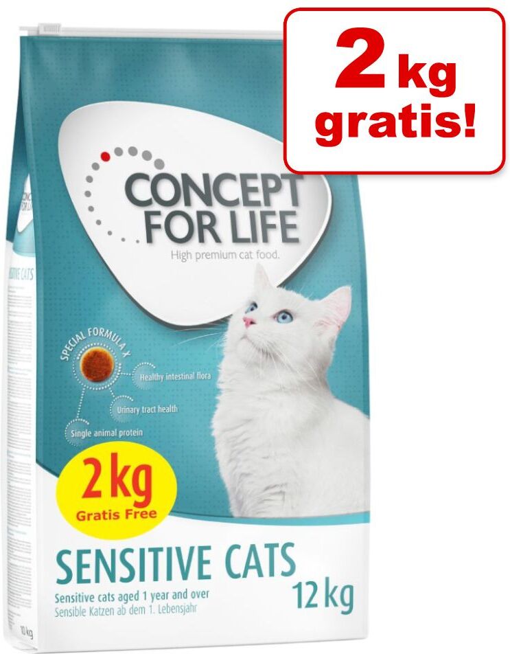 Concept for Life 12kg Indoor Concept for Life Katzenfutter Trocken - 2kg gratis!