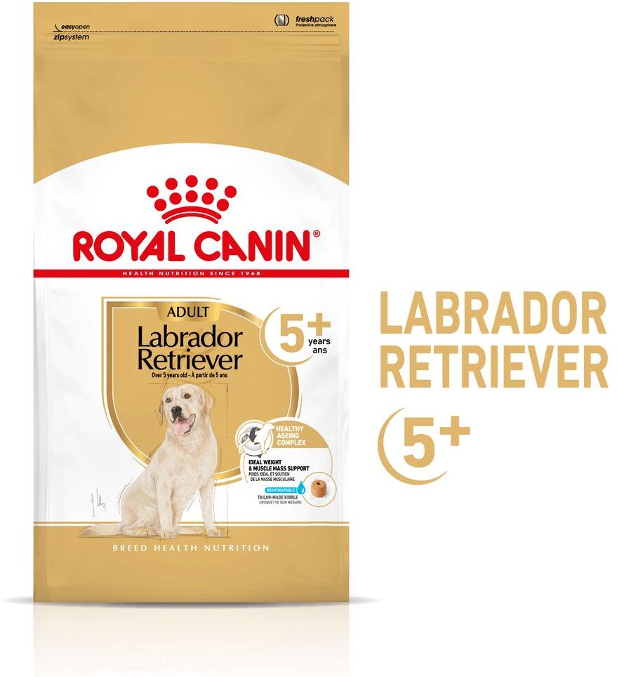 Royal Canin Breed 12kg Labrador Retriever Adult 5+ Royal Canin Trockenfutter für Hunde