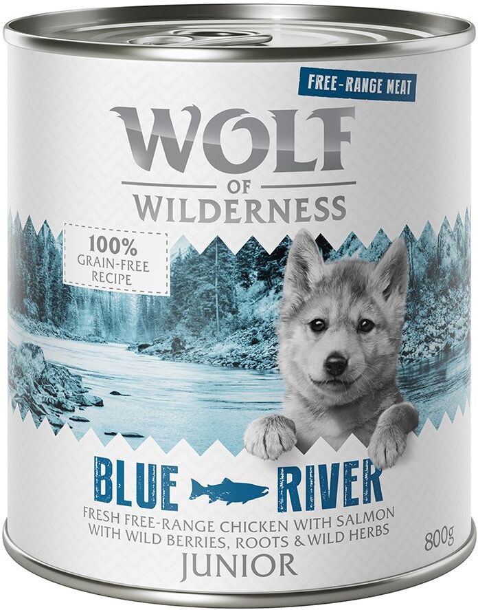 Wolf of Wilderness 6x 800g Junior Blue River - Freiland-Huhn & Lachs Wolf of Wilderness Hundefutter Nass