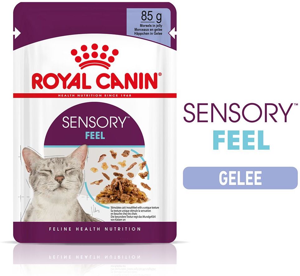 Royal Canin 24x 85g Sensory Feel in Gelee Royal Canin Katzenfutter Nass