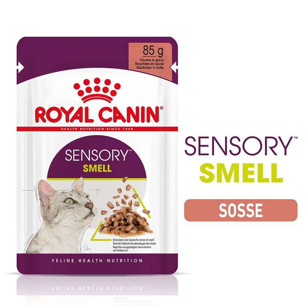 Royal Canin 48x 85g Royal Canin Sensory Smell in Sosse Katzenfutter nass